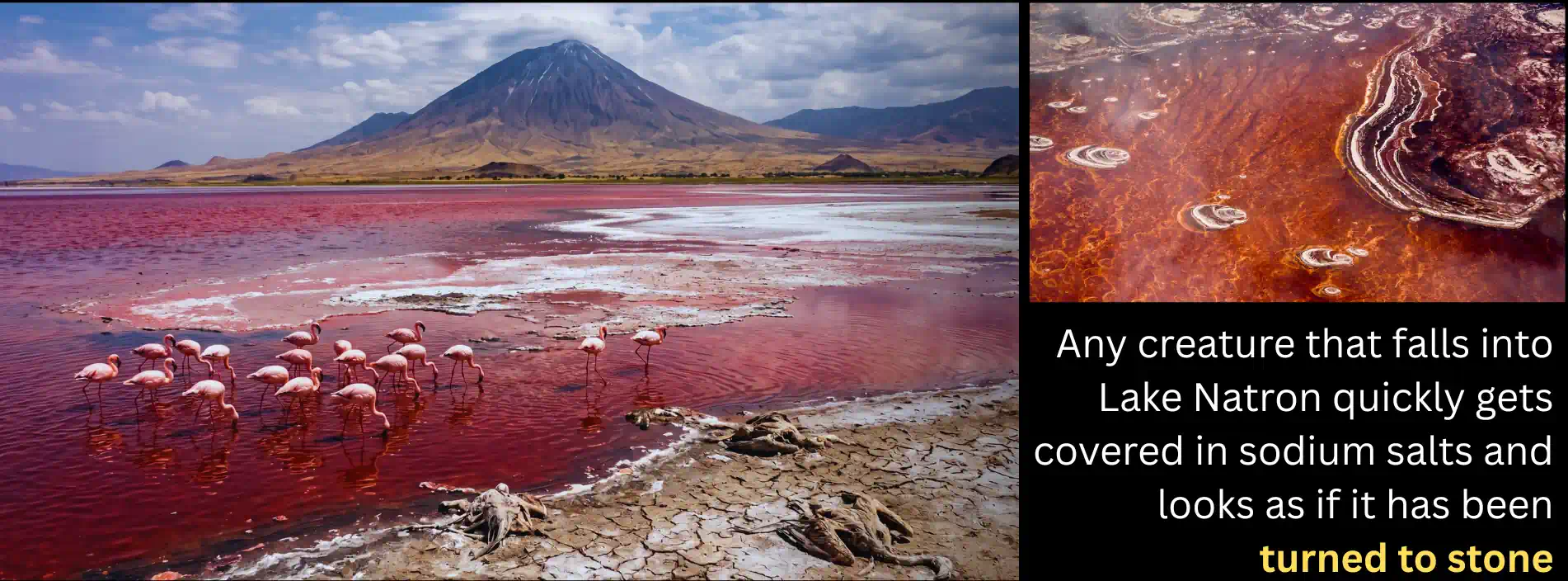 lake natron