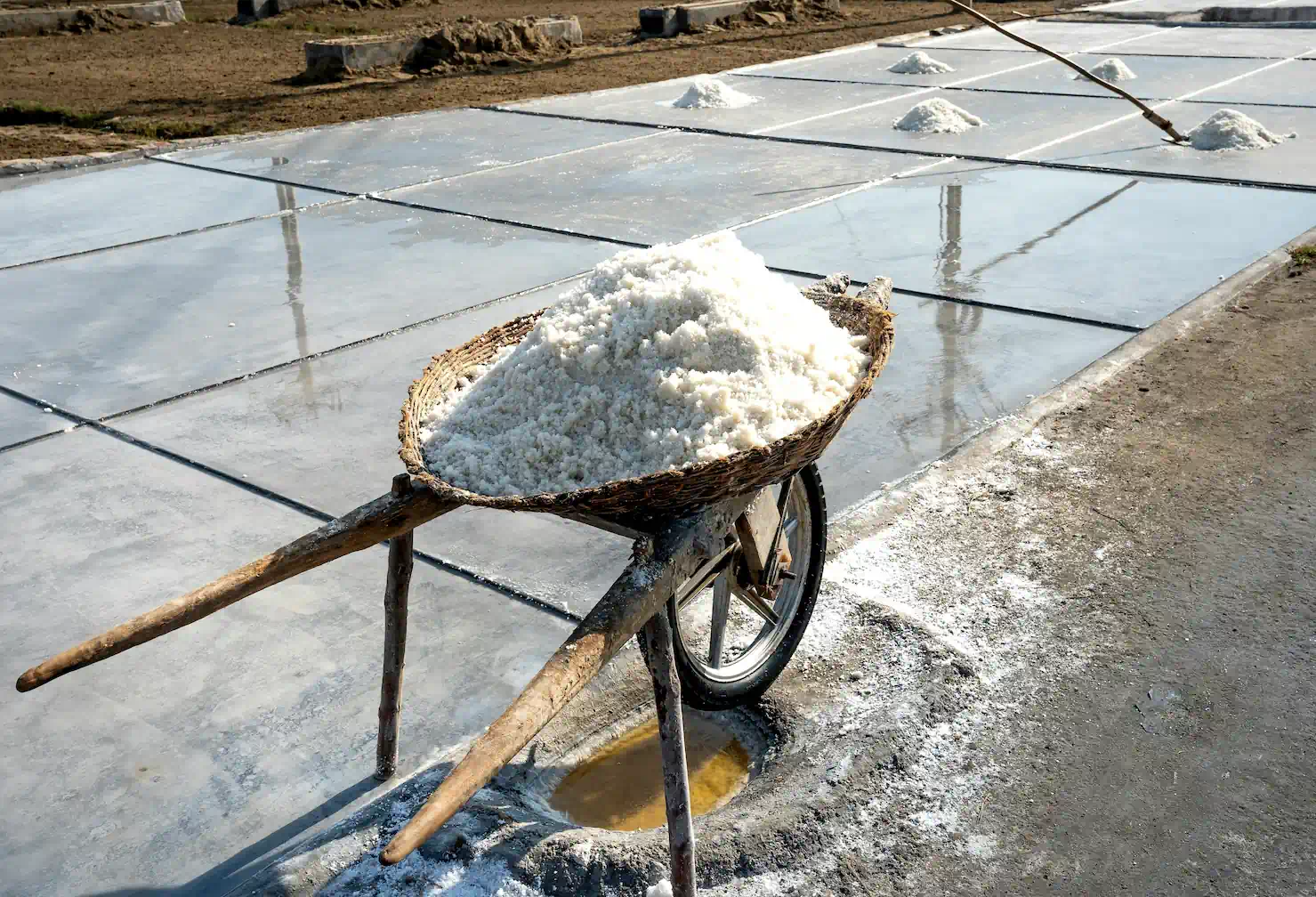 Sea Salt